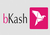 Bkash Logo